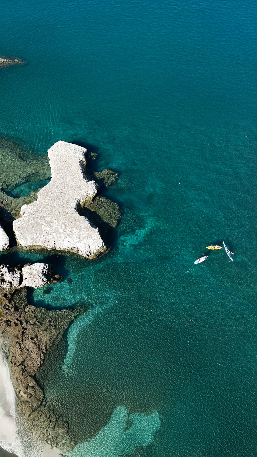 Kayak en el Golfo Nuevo